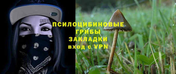 экстази Алексин