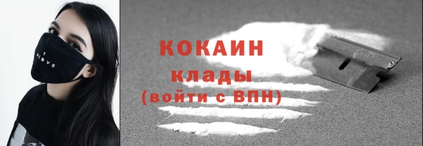 дживик Абаза