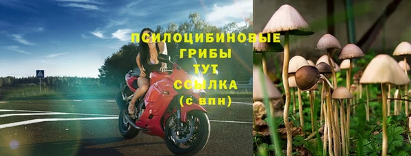 экстази Алексин