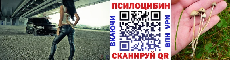 наркотики Мантурово Псилоцибиновые грибы прущие грибы
